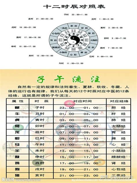 地支時間|间天干地支十二小时与十二时辰对于时间对照表